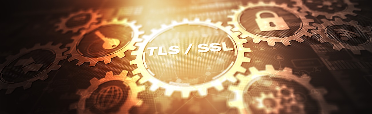 Illustration of interconnected gears with SSL/TLS in the center and security symbols