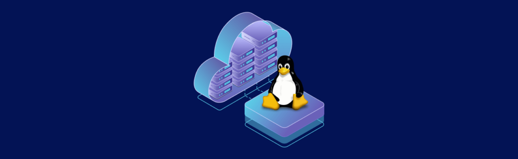 Linux penguin sitting on a server with a cloud to illustrate the vps hosting concept