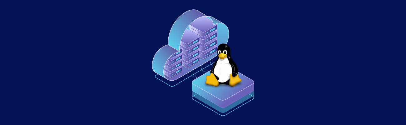 Linux penguin sitting on a server with a cloud to illustrate the vps hosting concept