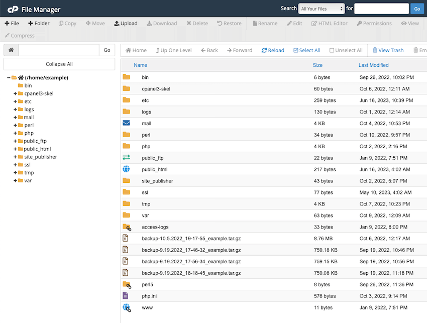 The cPanel file manager allows easy navigation and management of VPS hosting files, featuring tools for uploading, editing, and organizing web content directly through the browser.