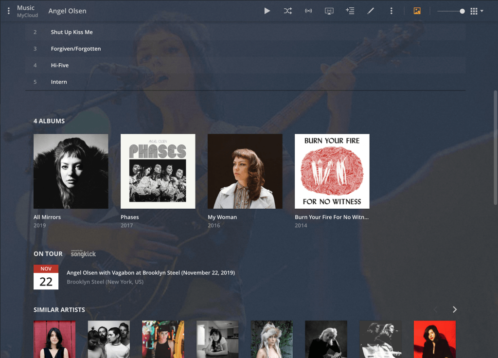 Plex Music UI
